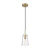 Kira 1-Light Pendant - Slim Clear Glass & Steel Design, Dimmable, 60W, 5"x8" - 3 of 4