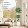 Artificial Ficus Tree for Home Decor Indoor,Faux Floor Tree White Imitation Ceramic Planter, Indoor Outdoor Lifelike Fake Ficus Tree with Pebbles - 4 of 4