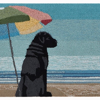Liora Manne Frontporch Coastal Indoor/Outdoor Rug..