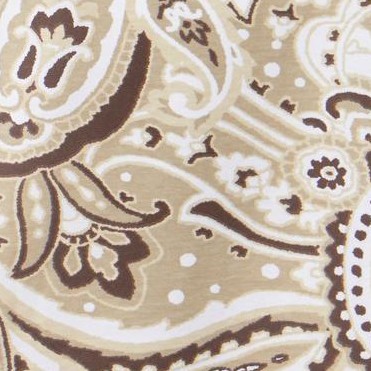 new khaki paisley