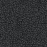 seth freakin rollins