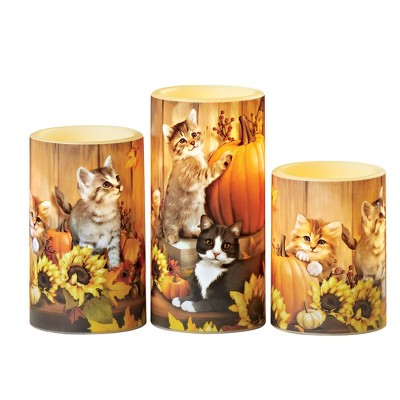 Collections Etc 3-Piece Harvest Cats LED Lighted Flameless Battery-Operated Candle Set