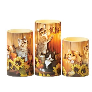 Collections Etc 3-Piece Harvest Cats LED Lighted Flameless Battery-Operated Candle Set - 1 of 2