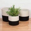 Colonial Mills Craftworks Basket, 16"x16"x16", Black - 3 of 3