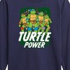 Boys' - Teenage Mutant Ninja Turtles - Turtle Power Long Sleeve Graphic T-Shirt - 2 of 4