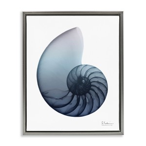 Stupell Industries Contemporary Nautilus Shell Floating Frame Canvas Art - 1 of 4