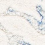 blue/ivory