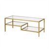  Metal Ada Double Shelf Coffee Table in Gold - Henn&Hart - 2 of 4