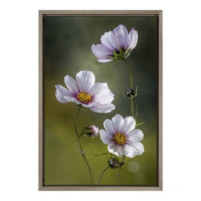 16" x 23" Cosmos Framed Canvas Wall Art - Amanti Art