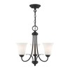 Livex Lighting Ridgedale 3 - Light Flush Mount in  Black - 3 of 4