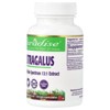 Paradise Herbs Astragalus, 60 Vegetarian Capsules (250 mg per Capsule) - 4 of 4