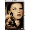 Trends International The Wizard Of Oz - Duo Unframed Wall Poster Prints - 3 of 4