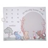 Lambs & Ivy Pooh Bear and Pals Photo Opportunity Milestone Fleece Baby Blanket - 2 of 4