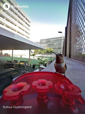 Guest review image 1 of 4, zoom in