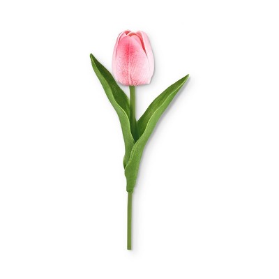 8" Tulip - Bullseye's Playground™