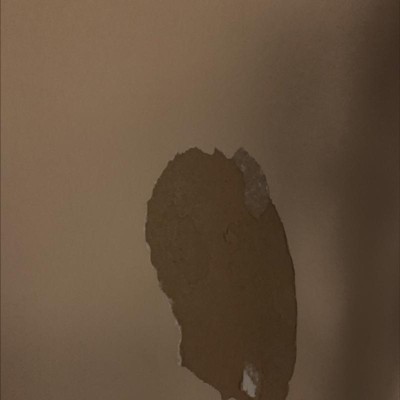 Guest review image 1 of 3, zoom in