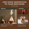 Gya Labs Silver Fir Essential Oil for Diffuser - 0.34 Fl Oz - Silver Fir Oil for Skin, Hair, Aromatherapy & Candle Making Scent - 4 of 4
