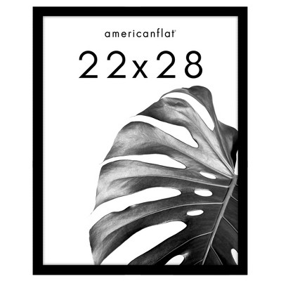 Black 22" x 28" Wooden Picture Frame with Plexiglass Cover