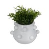 Modern Ceramic Planter with Textured Bubble Design, Ceramic Indoor & Outdoor Decorative Pot for Home & Garden - 2 of 4