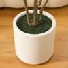 Dr.Planzen Artificial Olive Tree 5FT-7FT Tall - Realistic Tree with Potted White Planter, UV Resistant Leaves, Adjustable Branches for Home Decor - 3 of 4