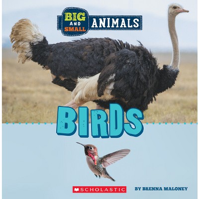Birds (Wild World: Big and Small Animals) - by  Brenna Maloney (Hardcover)