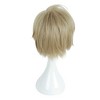Unique Bargains Women's Halloween Wigs 14" with Wig Cap 150 g Gold Tone - 3 of 4