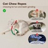Itopfox Cat Chew Toys with Refillable Natural Catnip, Safe Teeth Cleaning Interactive Kitten Toys for Indoor Play, All Breeds - 2 of 4