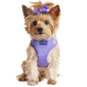 Doggie Design Wrap and Snap Choke Free Dog Harness - Paisley Purple - 1 of 4