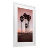 Stupell Industries Stanta Monica Palms Pink Framed Print Under Glass Art - 2 of 4