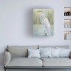 Canvas Wall Art - Grace Popp  'Dreams of Egrets I' Wall Art for Living Room, Bedroom, or Office Décor by Trademark Fine Art - 2 of 4