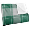 Loyola University Maryland Campus Plaid Spirit Silky Touch Super Soft Throw Blanket 50x60 - 3 of 4