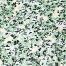 ivory green ditsy floral