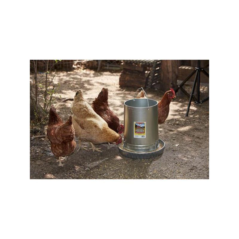 Little Giant 30-Pound Floor Space Saving Hanging Metal Poultry Feeder, 5 of 6