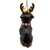 Kurt Adler Noble Gems Glass Ornament for Christmas Tree, Rottweiler with Antlers, 4" - 3 of 4