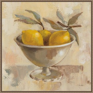 Amanti Art Fruits in Old Bowl I by Silvia Vassileva Framed Canvas Wall Art - 1 of 4