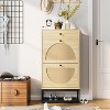 Hooseng Freestanding Faux Wooden Shoe Rack, Entryway Organizer with 2 Natural Rattan Flip Cabinet Drawers for Hallway, Living Room, Bedroom - 4 of 4