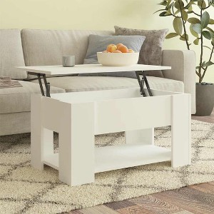 Aghana Digitals Modern White Lift-Top Coffee Table: Adjustable Height ...