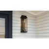 Noelle 2-Light Matte Black Outdoor Wall Lantern - 3 of 4