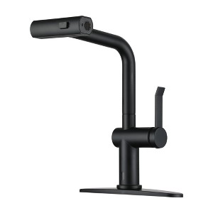 CASAINC Single Handle Pull Down Sprayer Kitchen Faucet with 3 Functions Spray - 1 of 4