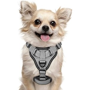 rabbitgoo Dog Harness, No Pull Dog Vest Harnesses with Bungee Shoulder Straps,Medium Small Dogs - 1 of 1