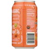 Ruby Hibiscus Organic Blood Orange Sparkling Water - Case of 12/12 oz - 3 of 4