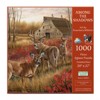 Sunsout Among the Shadows 1000 pc Jigsaw Puzzle 30913 - 3 of 4