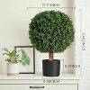 24" Artificial Topiary Boxwood Ball Trees, Set of 2 UV Resistant Plants, Faux Boxwood with Pots for Front Porch, Indoor Walkway, Entryway Decorating - 2 of 4