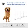 Dog Agility Training Equipment Set,Adjustable Weave Poles for Backyard,Portable Outdoor Dog Agility Course for Exercise - LAOTIES - 4 of 4