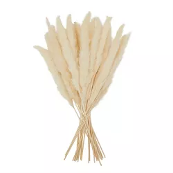 Juvale 30 Pack White Pampas Grass (17 in)