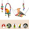 Unique Bargains Bird Toys Coconut Hideaway with Ladder Swing - 3 of 4