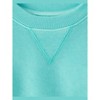 The Children's Place Toddler Girls Active Long Sleeve Garment Dyed Premium Fleece Sweatshirt - 4 of 4