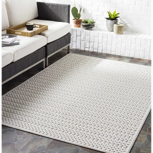 Hauteloom Kirkburton Beige Outdoor Rug - 1 of 4