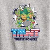 Boys' - Teenage Mutant Ninja Turtles - Turtle Power Americana Graphic Long Sleeve Fleece Sweatshirt - 2 of 4