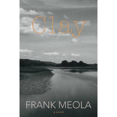 Clay - by  Frank Meola (Paperback)